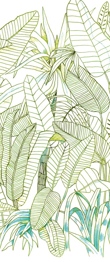 Tapety Yara - Zelená Fototapeta na zeď Zelená Fototapeta na zeď - Tapety Yara