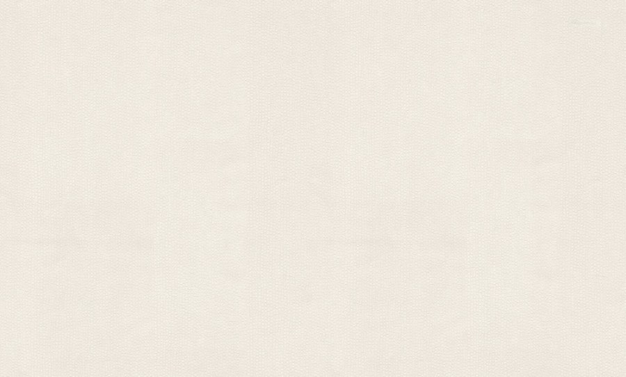 Tapeta na zeď Tapeta na zeď