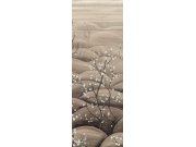 Tapety Yara - Obrazová tapeta na zeď Obrazová tapeta na zeď