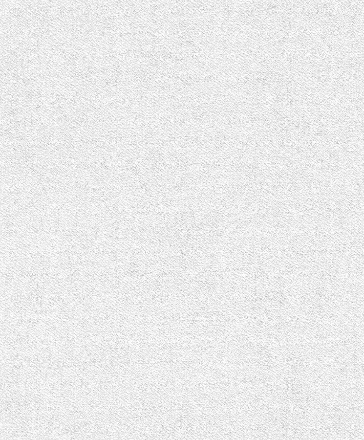 RASCH 507041 - Tapety AS Création