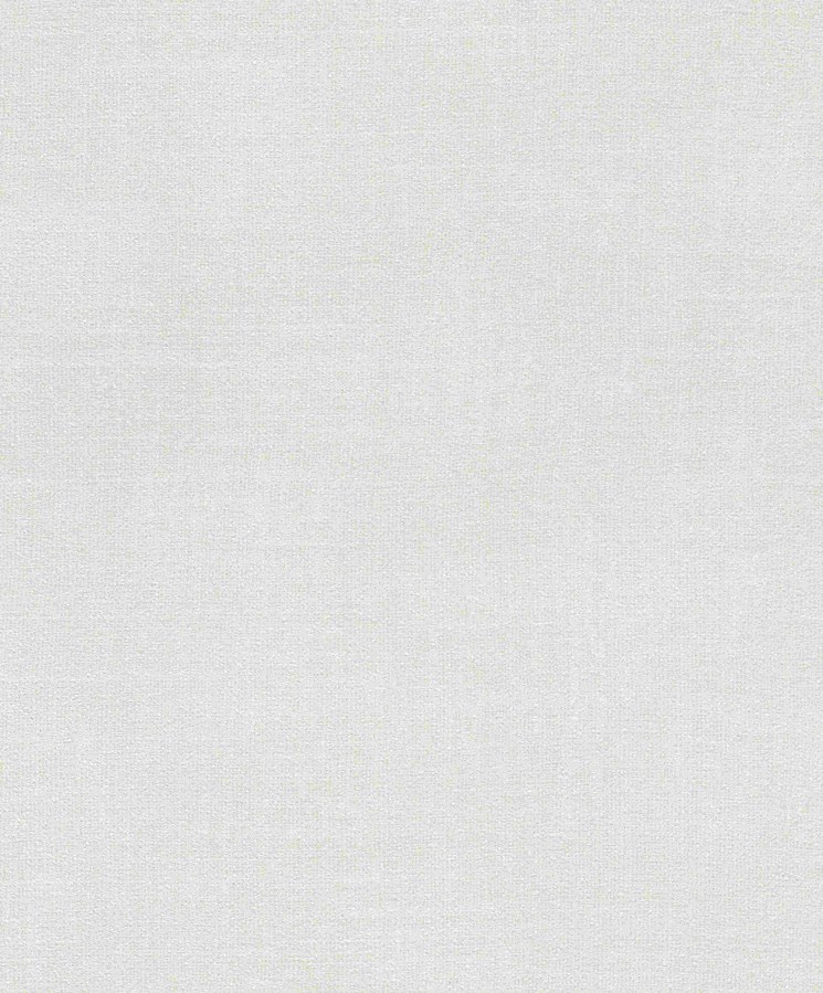 RASCH 285307 - Tapety AS Création