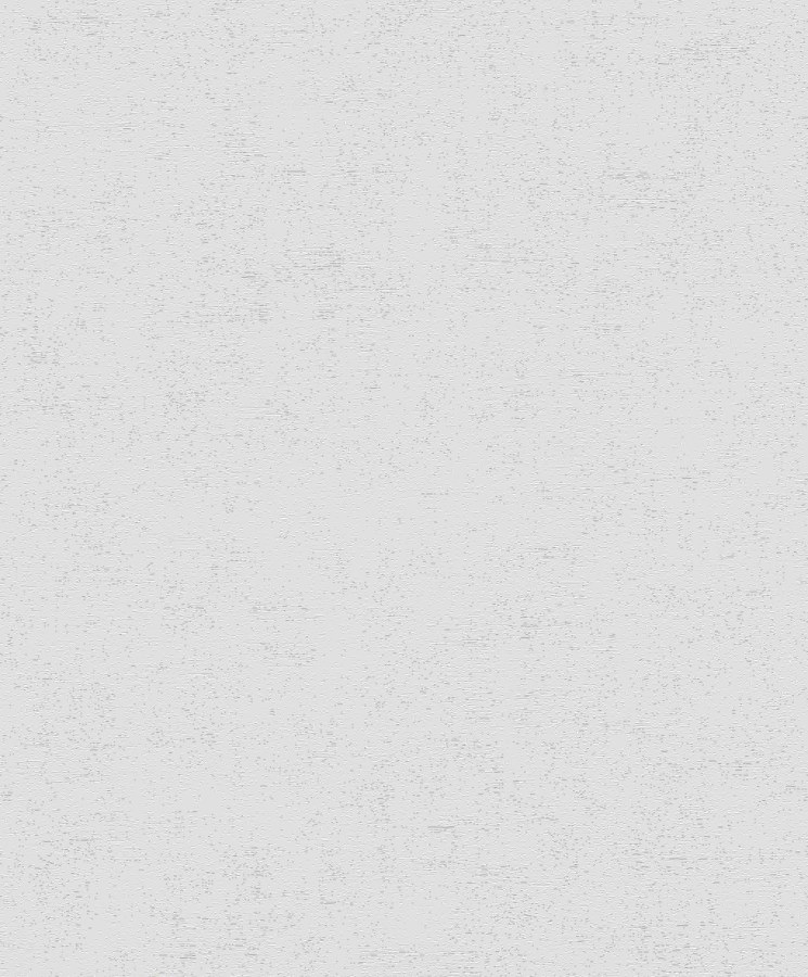 RASCH 489828 - Tapety AS Création