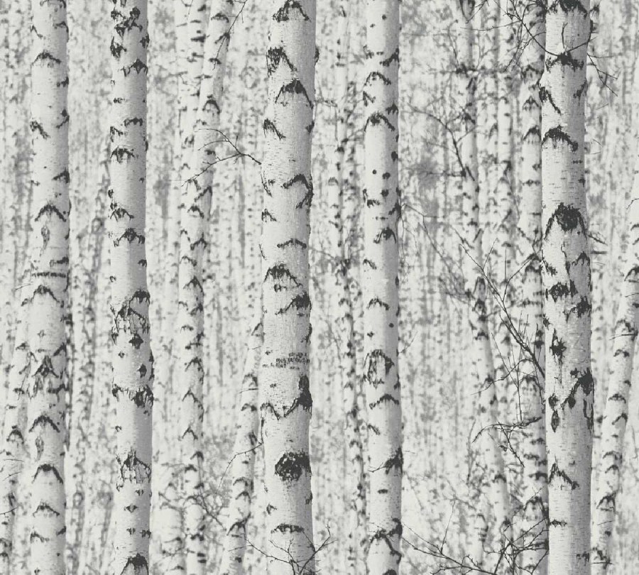 Tapeta PintWalls 38719-1 38719-1V - Tapety AS Création