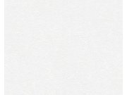 Přetíratelná Tapeta Meistervlies 2487-18 2487-18V