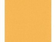 Tapeta VERSACE na zeď 38384-5 38384-5V