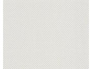 Přetíratelná Tapeta Meistervlies 1649-19 1649-19V