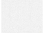 Přetíratelná Tapeta Meistervlies 2458-16 2458-16V