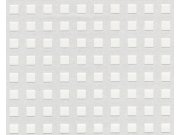 Přetíratelná Tapeta Meistervlies 3383-10 3383-10V