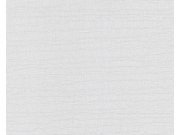 Přetíratelná Tapeta Meistervlies 2460-11 2460-11V