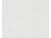 Přetíratelná Tapeta Meistervlies 2604-13 2604-13V