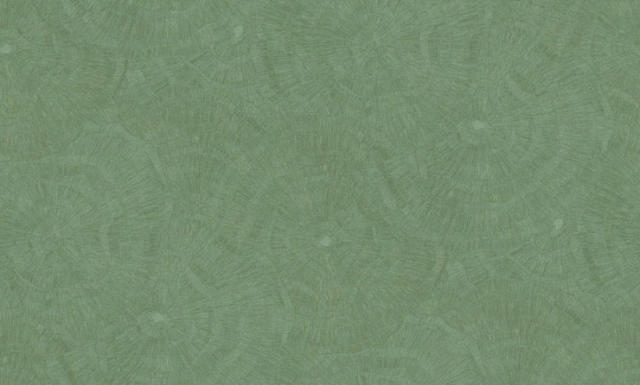 Tapeta na zeď, zelená, obrazce, Metamorphosis, Parato by Cristiana Masi