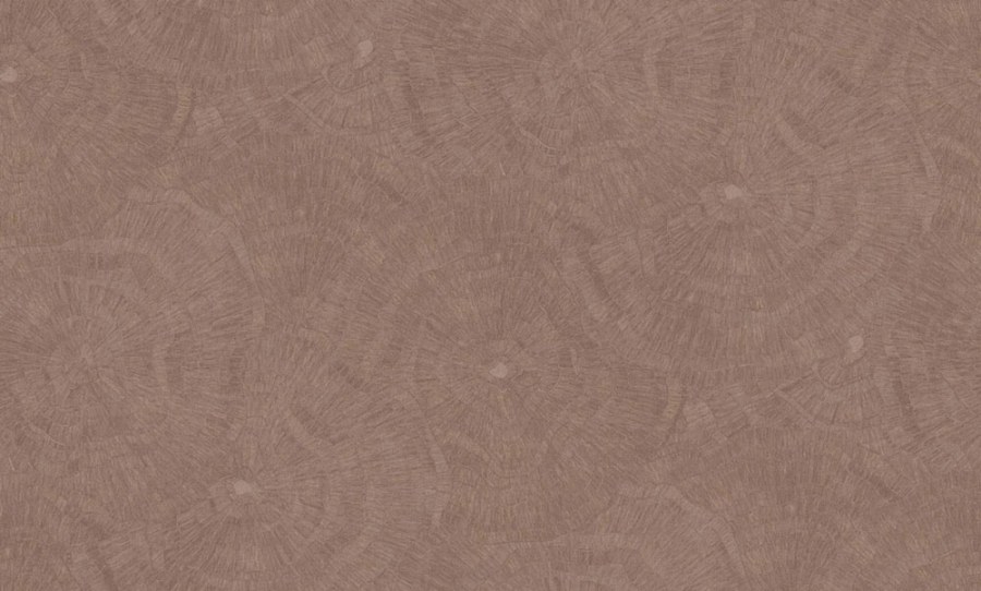 Tapeta na zeď, hnědá, obrazce, Metamorphosis, Parato by Cristiana Masi