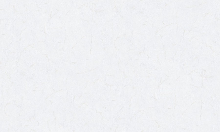 Tapeta na zeď, stříbrná, bílá, imitace stěrková omítky, Metamorphosis, Parato by Cristiana Masi - Tapety Yara