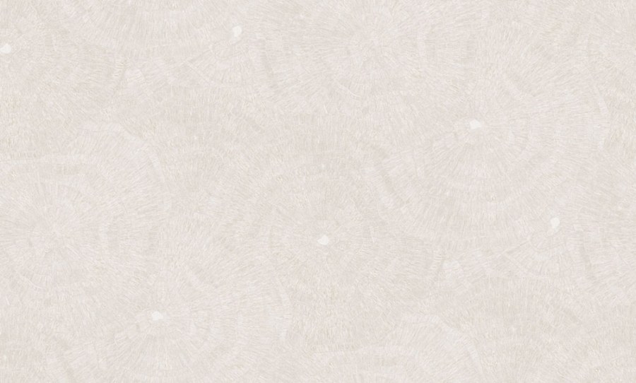 Tapeta na zeď, stříbrná, šedá, obrazce, Metamorphosis, Parato by Cristiana Masi - Tapety Yara