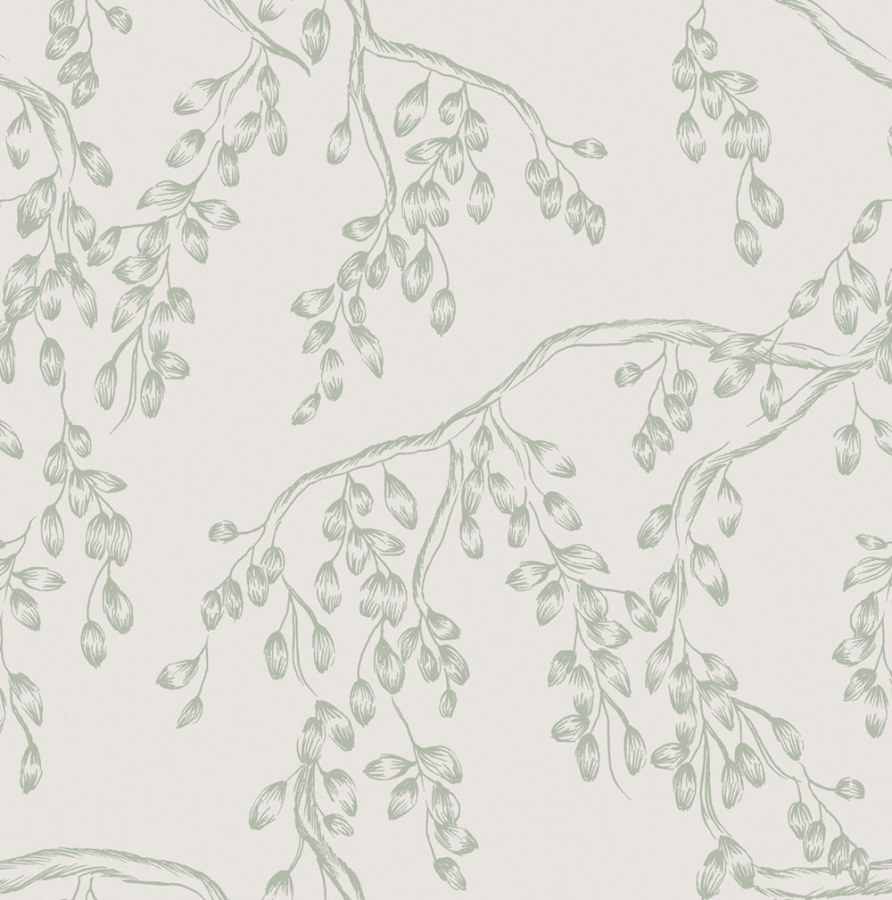 Tapeta na zeď, bílo-zelená, větvičky, Laura Ashley 4