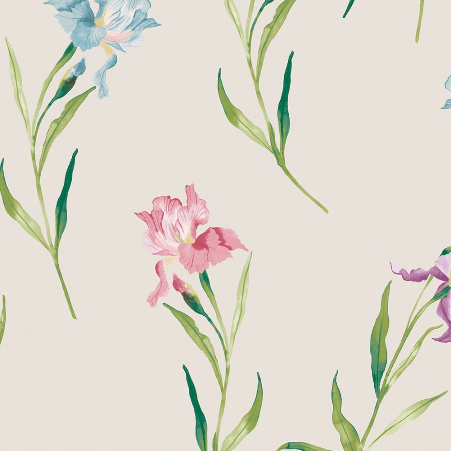 Tapeta na zeď, béžová, růžová, kosatce, Laura Ashley 4