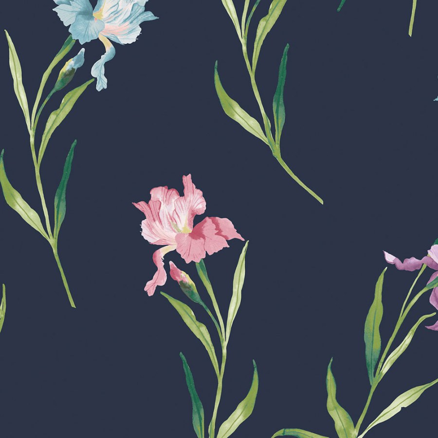 Tapeta na zeď, modrá, růžová, kosatce, Laura Ashley 4 - Tapety Yara