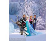 Fototapeta AG Ledová Království FTDNXL-5139 | 180x202 cm Fototapety
