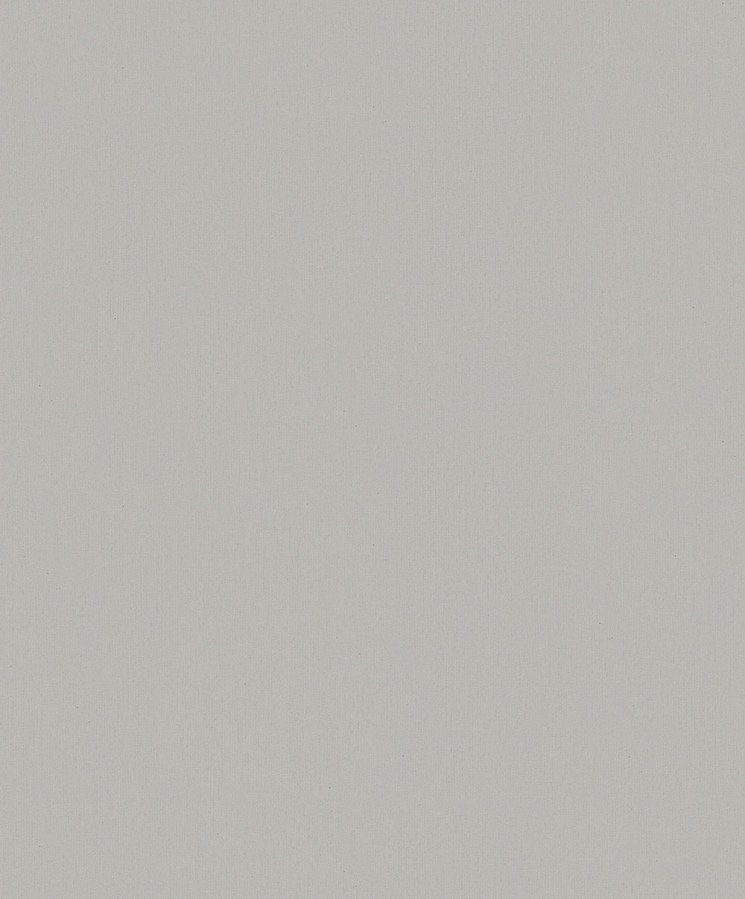 Tapeta na zeď, španělská šedá, Whisper, Marburg