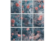 Tapety Yara - Tapeta na zeď, červená, růže v zimní zahradě, Illusion, Ugépa Tapeta na zeď, červená, růže v zimní zahradě, Illusion, Ugépa
