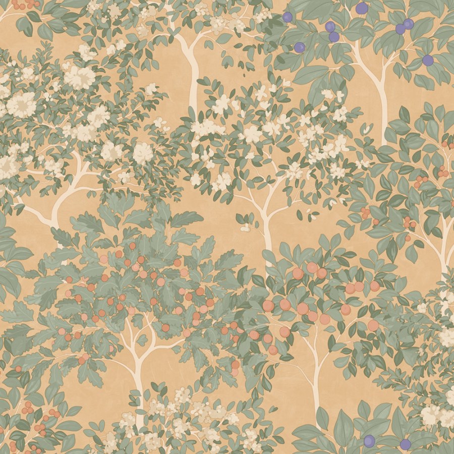 Tapeta na zeď, oranžová, kvetoucí stromy, Flora, Ugépa Tapeta na zeď, oranžová, kvetoucí stromy, Flora, Ugépa