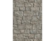 Tapety AS Création - DIMEX 1039402V DIMEX 1039402V