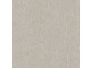 Šedo-béžová (Taupe) tapeta na zeď, imitace kamene, Renaissance, Design Id