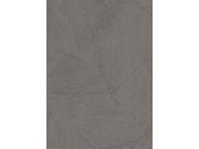 Tapety AS Création - DIMEX 1031937V DIMEX 1031937V