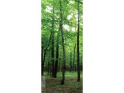 Fototapeta Les FTNV-2920 | 90x202 cm Fototapety