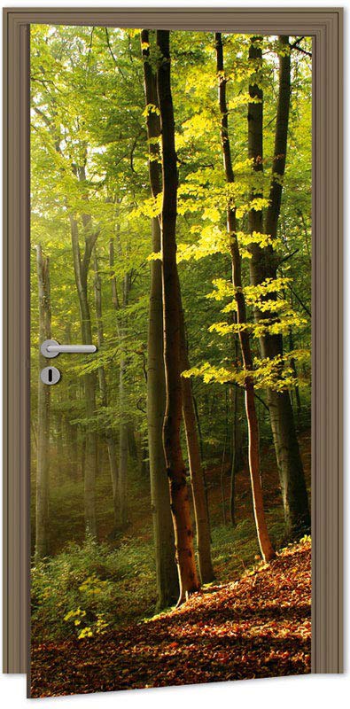 Samolepící Fototapeta na dveře DL003 Forest